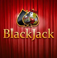 Blackjack Table Game